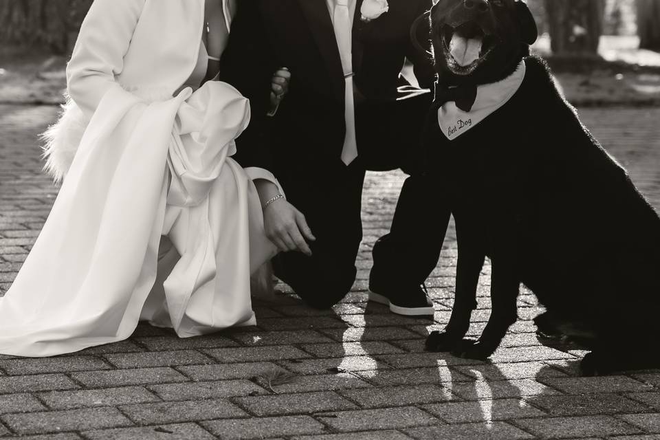 Couple & dog of honor