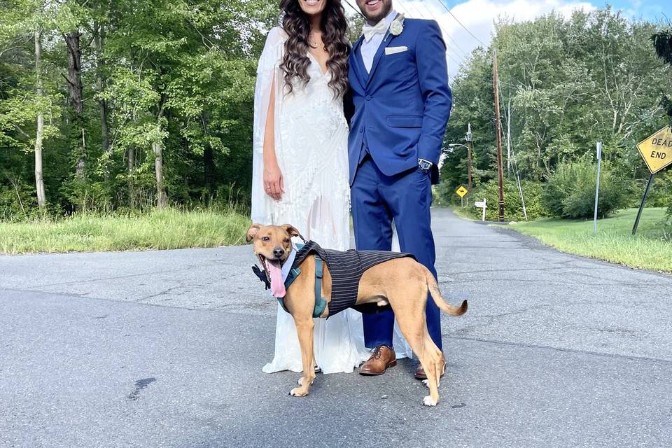 Happy wedding dog