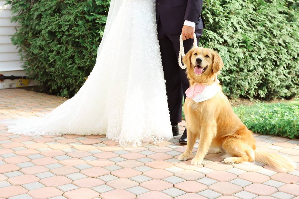 Couple & dog of honor