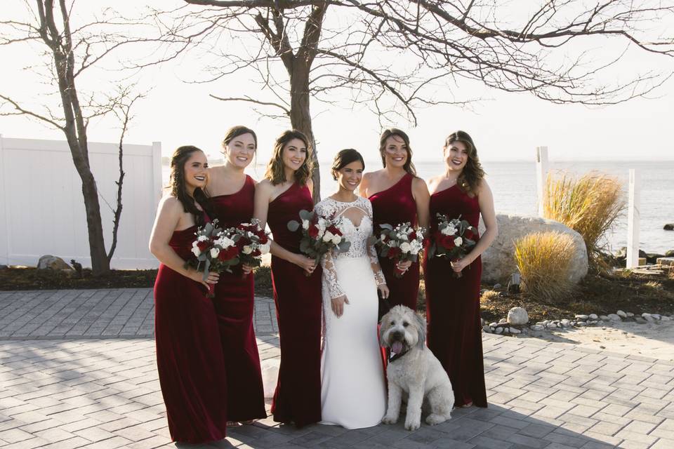 Wedding party & dog