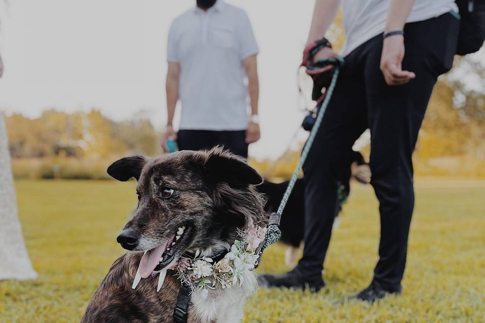 Flower gal, Maddie