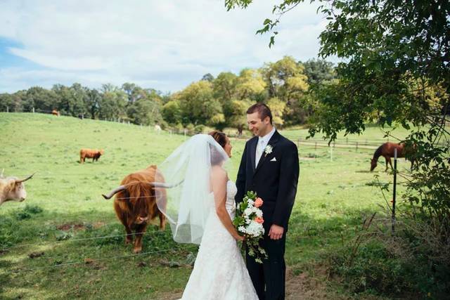 Wedding couple