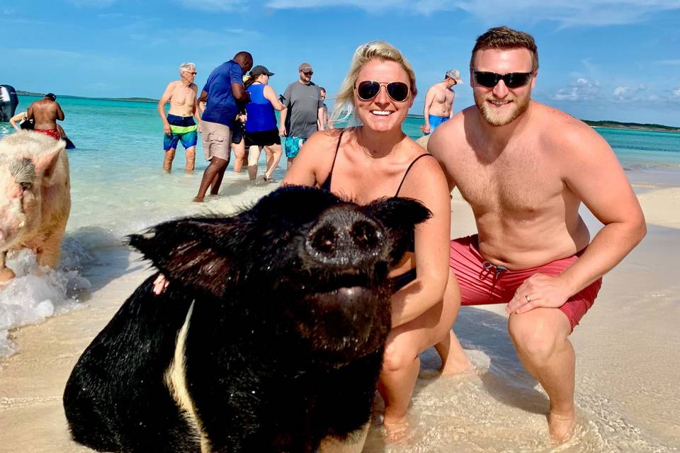 Exuma Pig Beach Adventure