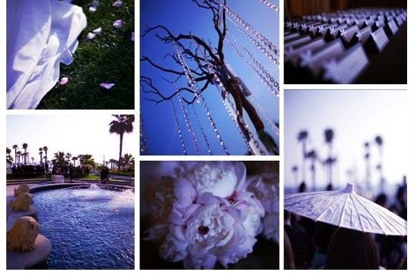 White Blossom Wedding & Event Planning