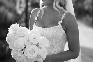 Contour Bridal