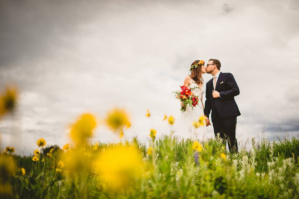 Field of flowers