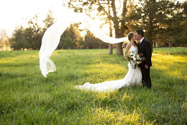 Veil in the wind
