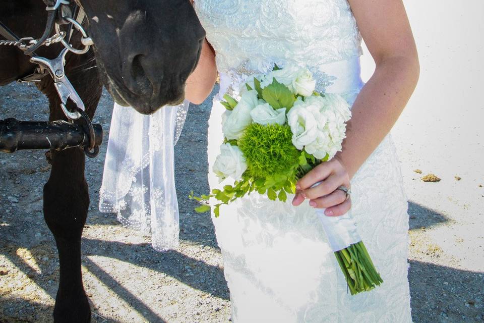 Stunning bride