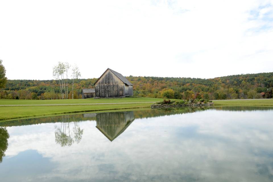 View of Pond