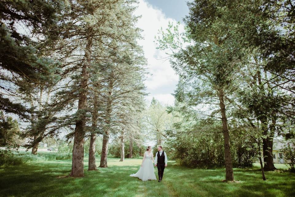 Leelenau County Wedding