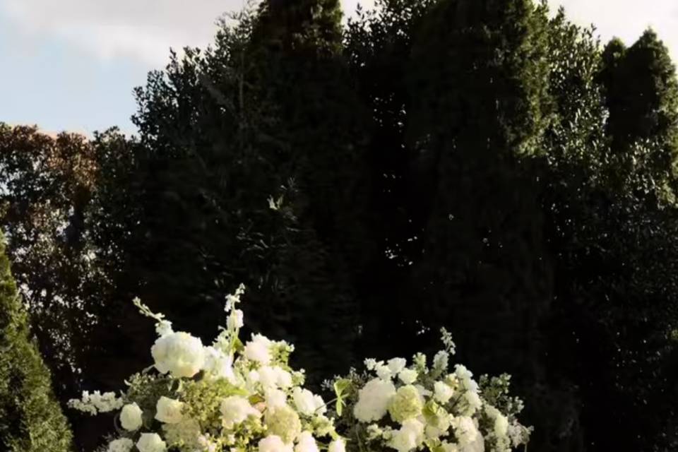 Fan Favorite Ceremony Arch