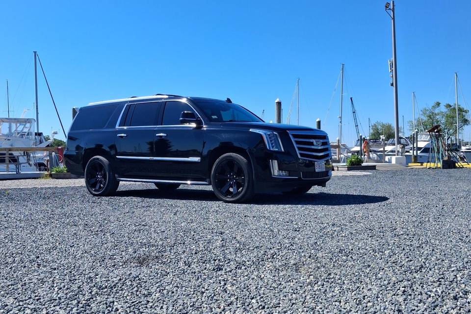 Cadillac Close Up.