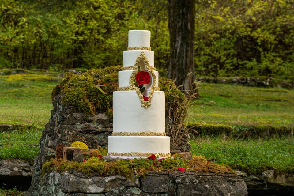 Wedding Cake Backdrop