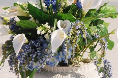 Sand Petal Weddings