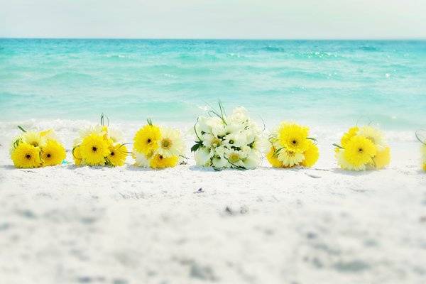 Sand Petal Weddings