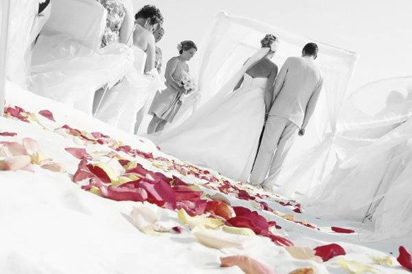 Sand Petal Weddings