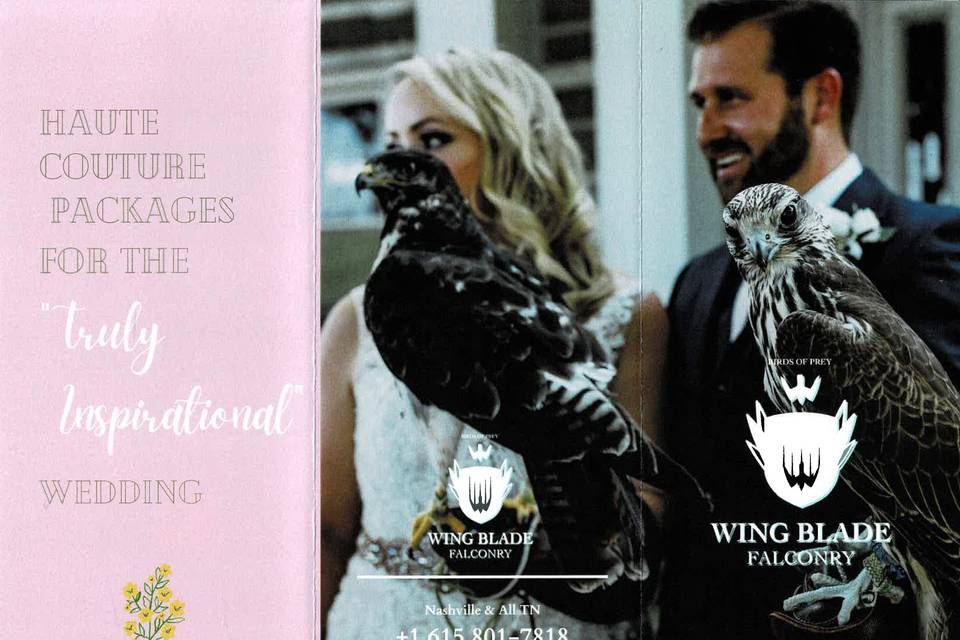Wing Blade Falconry Events