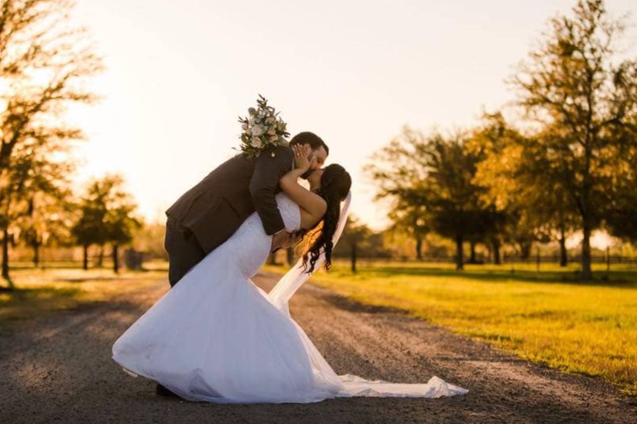 C Bar Ranch - Reviews, Photos & Deals 2026 - Alachua, FL - WeddingWire