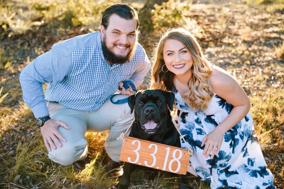 Pets in engagement photos