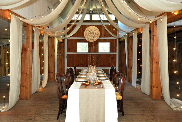 Tribe Design + Events