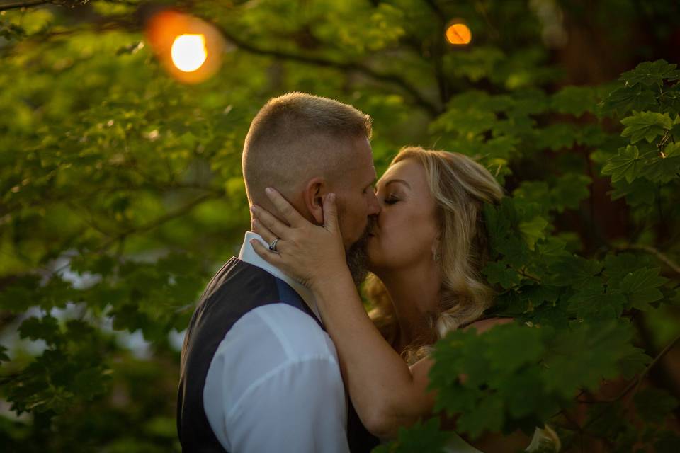 Www.weddingphotographerguy.com