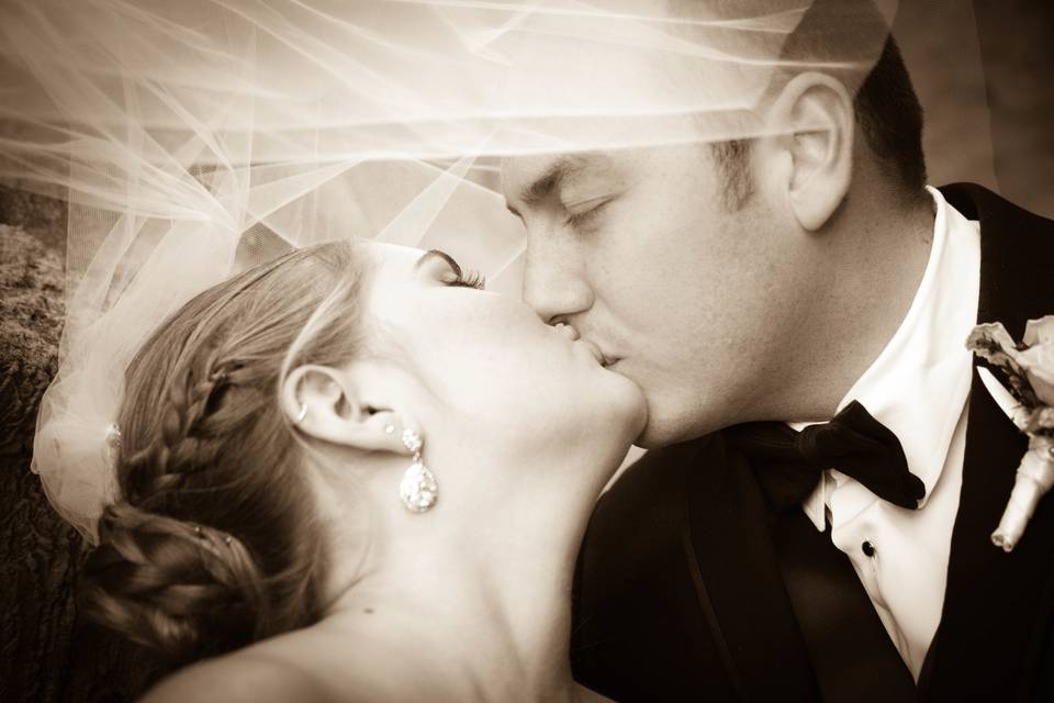 Www.weddingphotographerguy.com