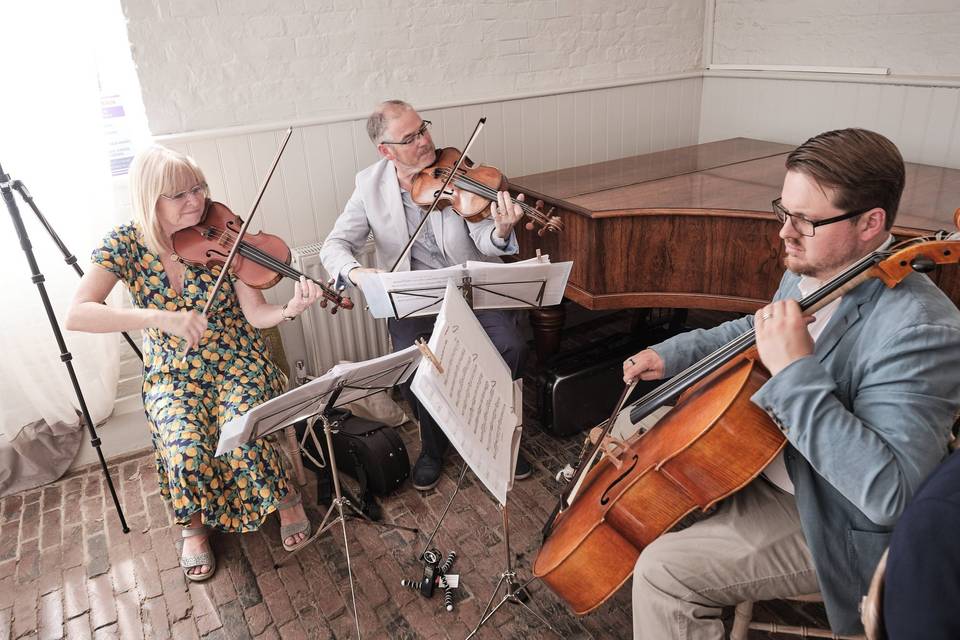Bridgerton String Trio