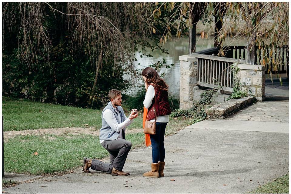 Proposal