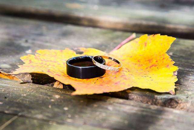 Fall wedding bands