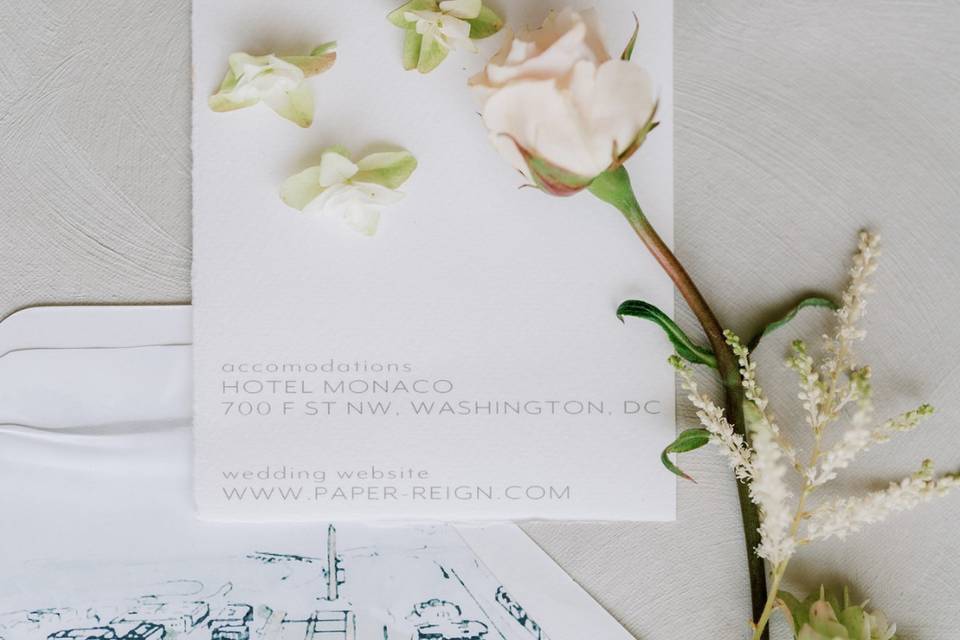 Washington D.C Wedding