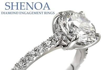 Shenoa & Co.