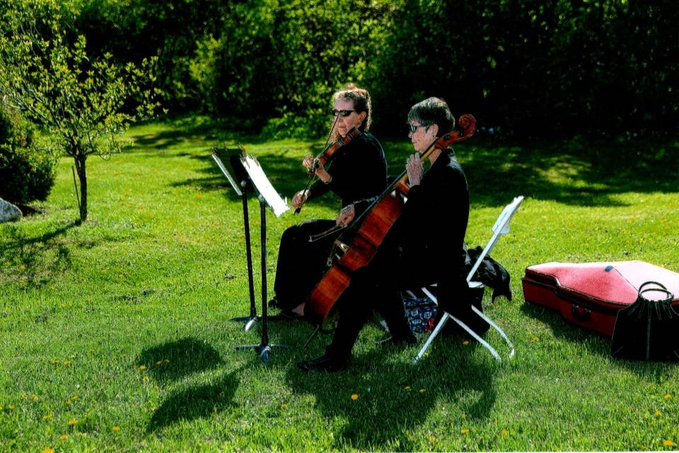 Cello and violin