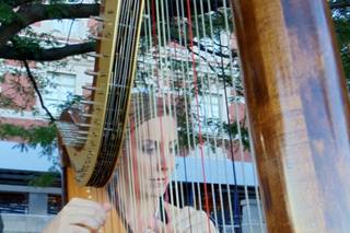 Harpist- Alison Renee