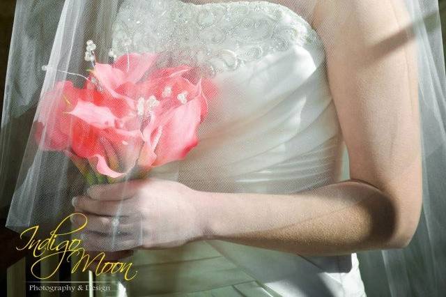 Indigo Moon Photography & Design
