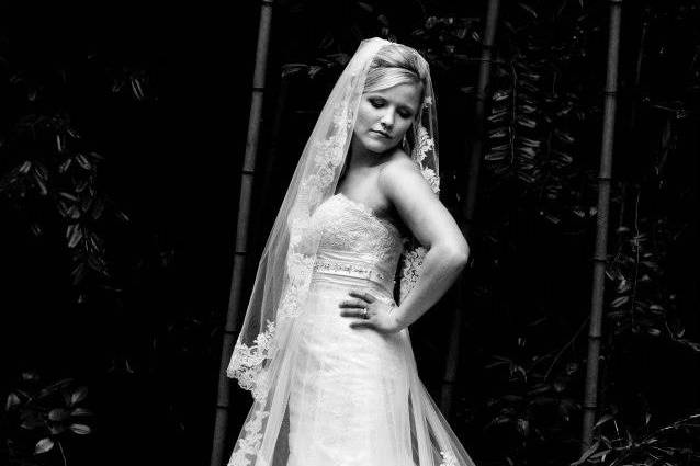 Indigo Moon Photography & Design