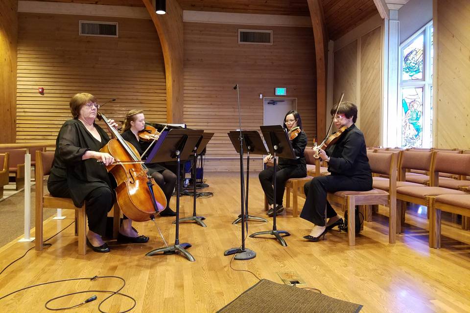 Magic Strings Quartet