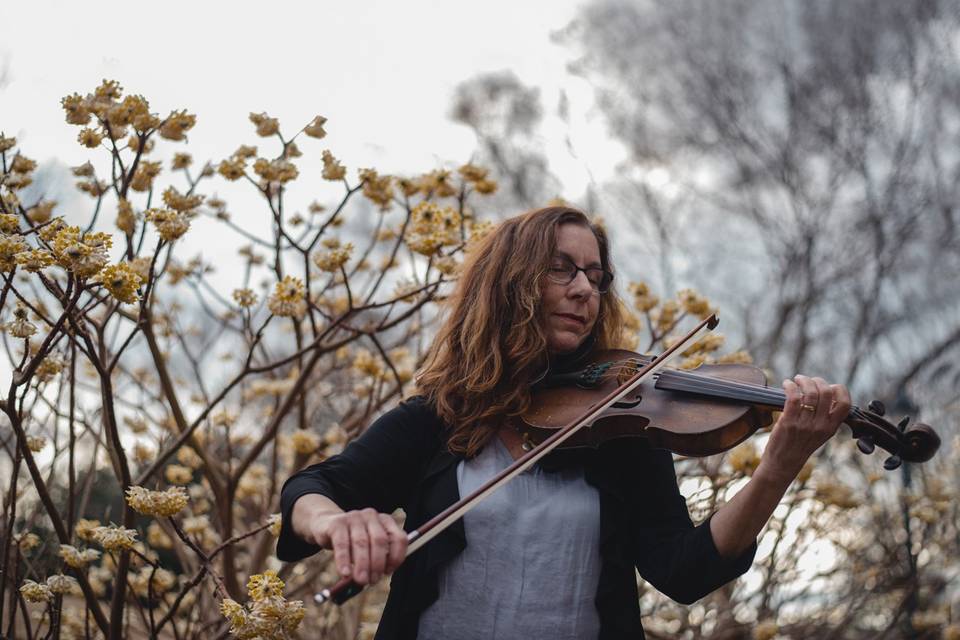 Sandy Herrault violinist