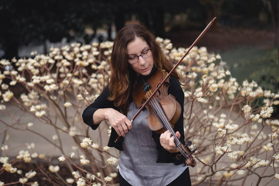 Sandy Herrault violinist