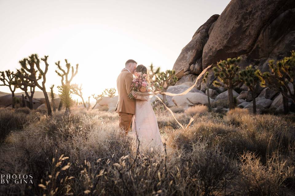 Joshua Tree Wedding