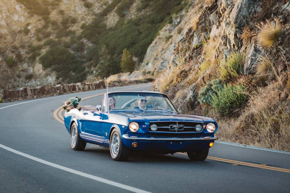 1965 Ford Mustang GT in Big Su