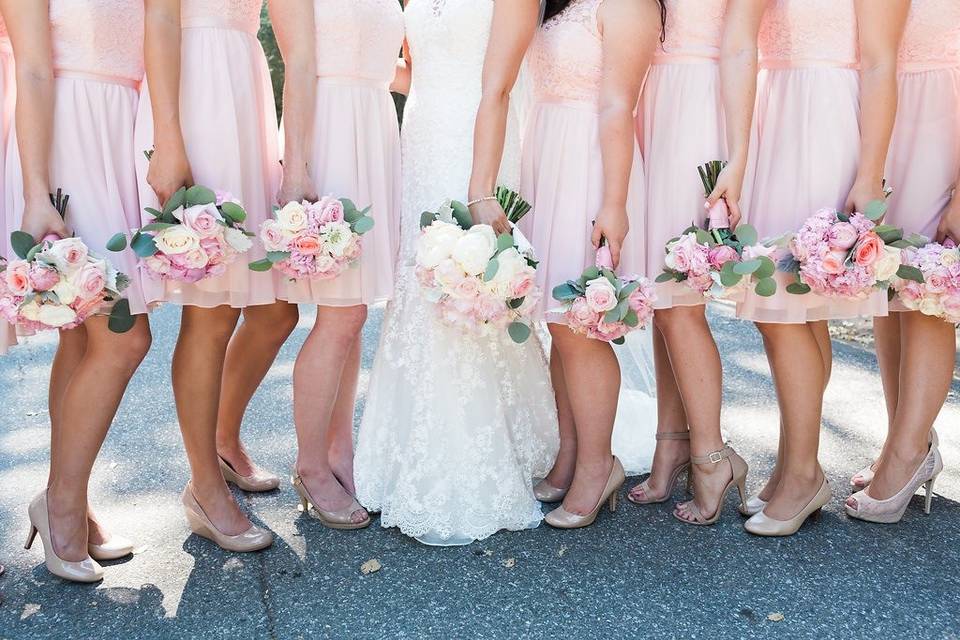 Bride with the bridemaids