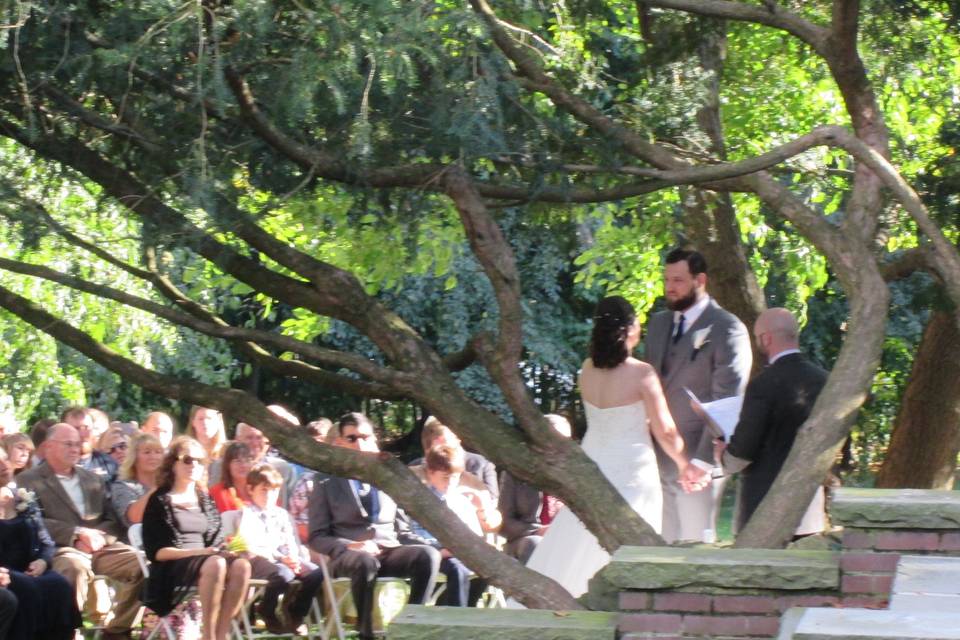 These yews are estimated to be between 80 and 100 years old and recently pruned to resemble a japanese garden style. Nice place for a small wedding ceremony.