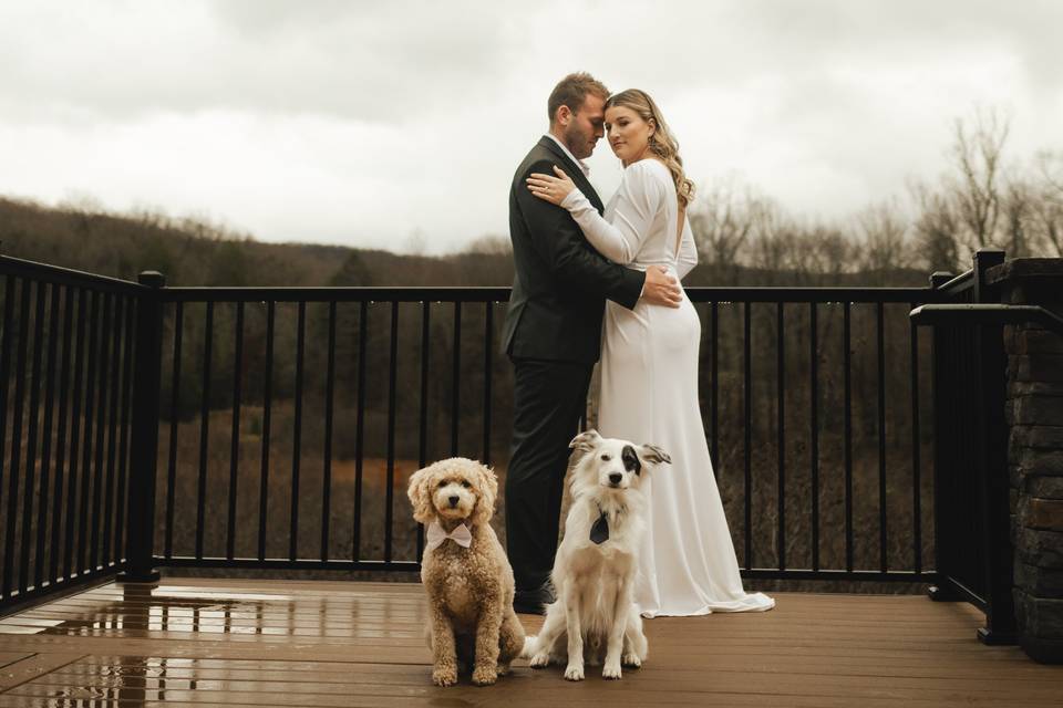 We love furry friends