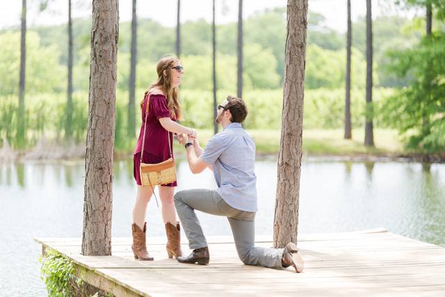 Allison Jeffers Wedding Photography