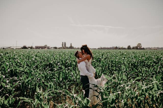 Corn Season