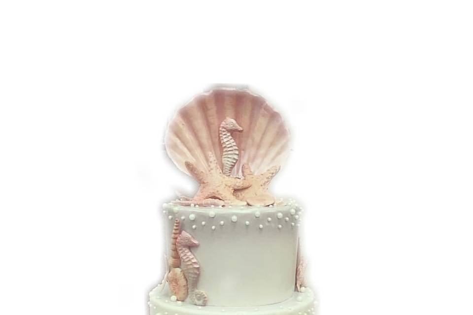 Seashell cake