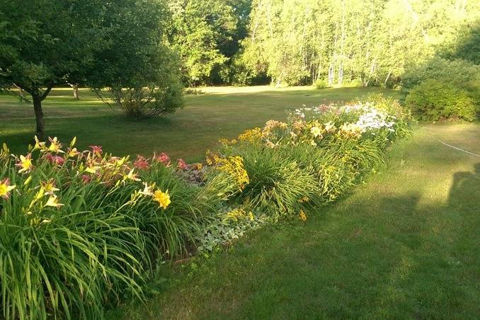 Wedding at My Day Gardens