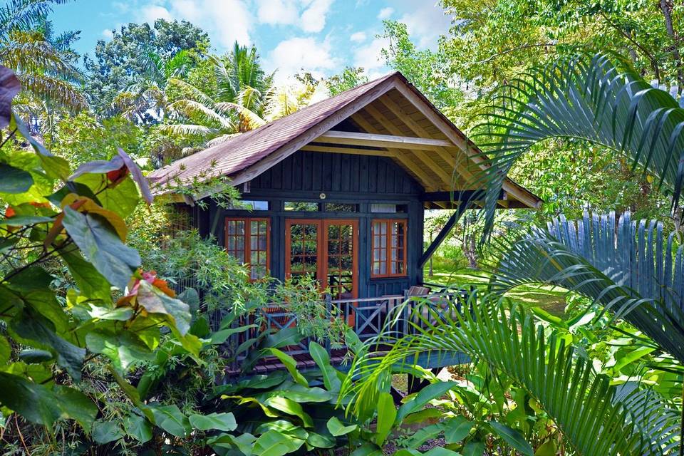 Shack in the jungle