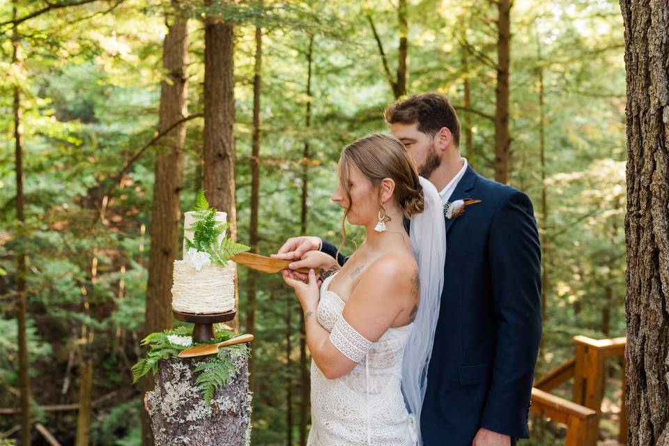 Cake Cutting