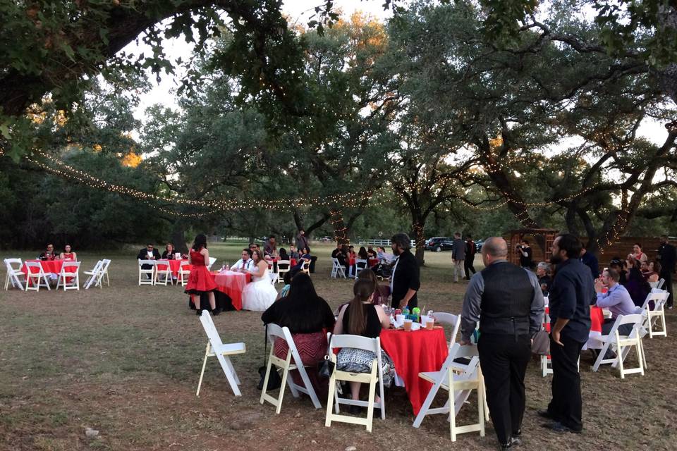 Texas Party Rental & More
